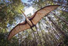 Dinosaur-like creature found in Uttarakhand