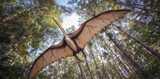 Dinosaur-like creature found in Uttarakhand