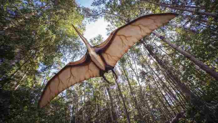 Dinosaur-like creature found in Uttarakhand