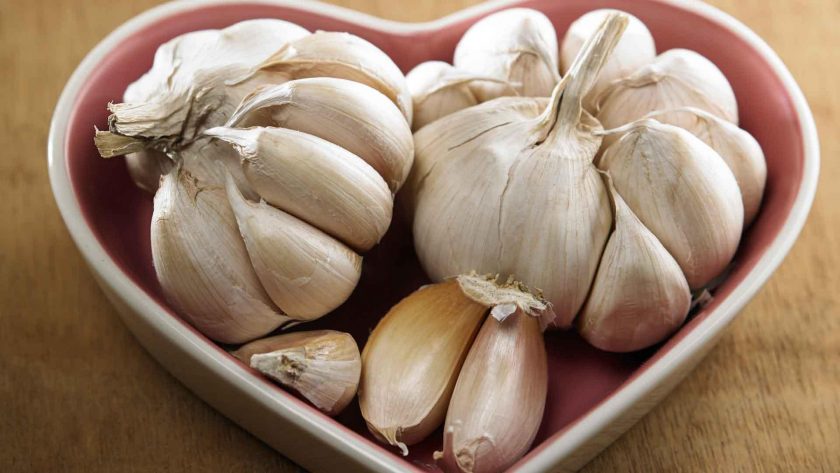garlic