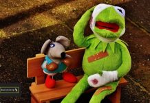 Roadkills wildlife conservation app