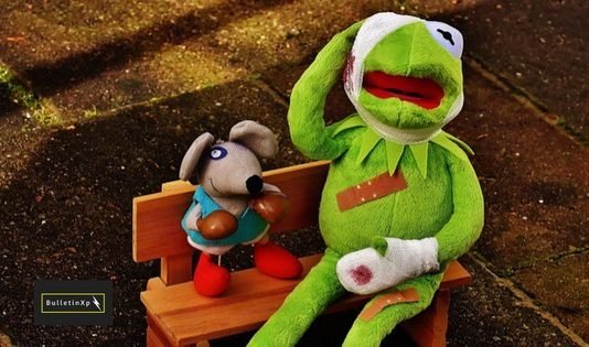 Roadkills wildlife conservation app