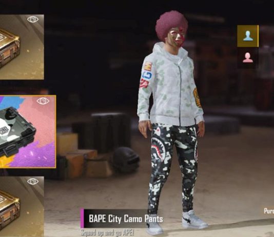PUBG Mobile Ban: Developer Issues Statement Following Criticism in India PUBG Mobile Ban