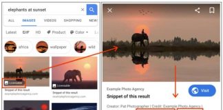 google-images-image-license-label