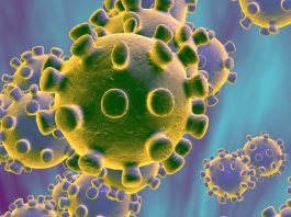 corona virus