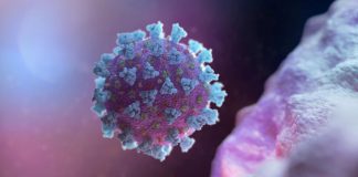 coronavirus-state-wise-report